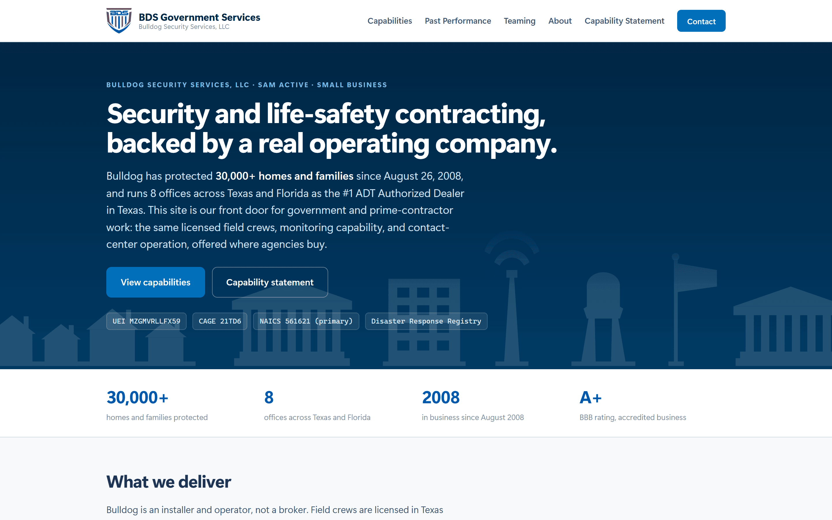 BDS Government Services homepage screenshot